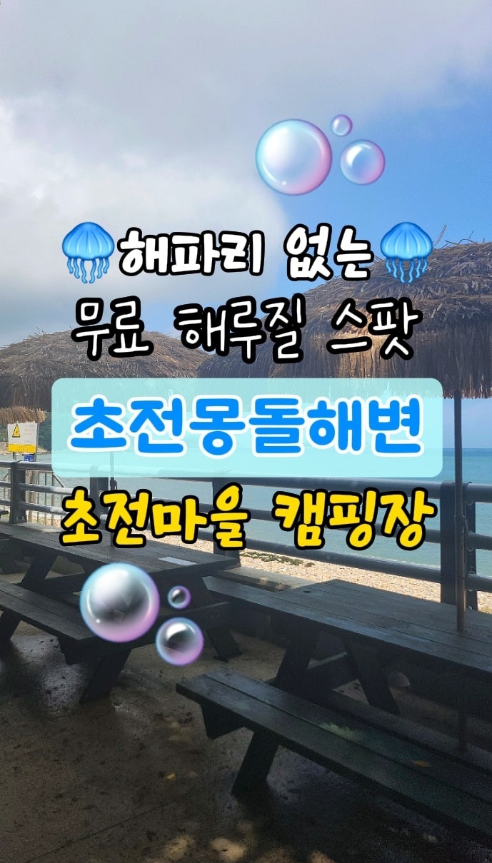 |경남 남해| 해파리 없는 무료 해루질 포인트