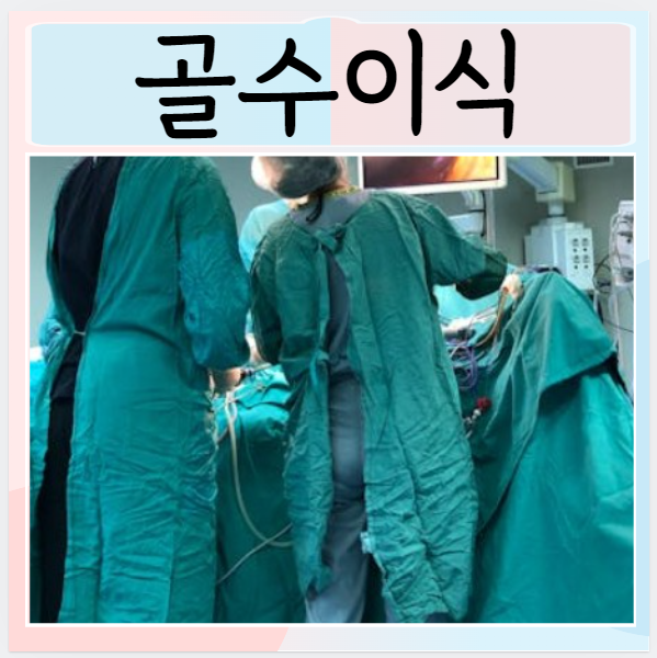  골수이식 골수기증 적합성 절차 이식종류