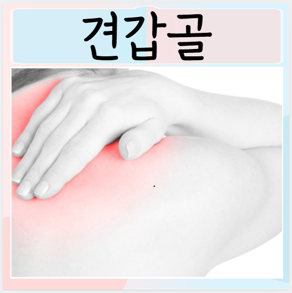  견갑골이란? 통증 증상 종류 치료 예방