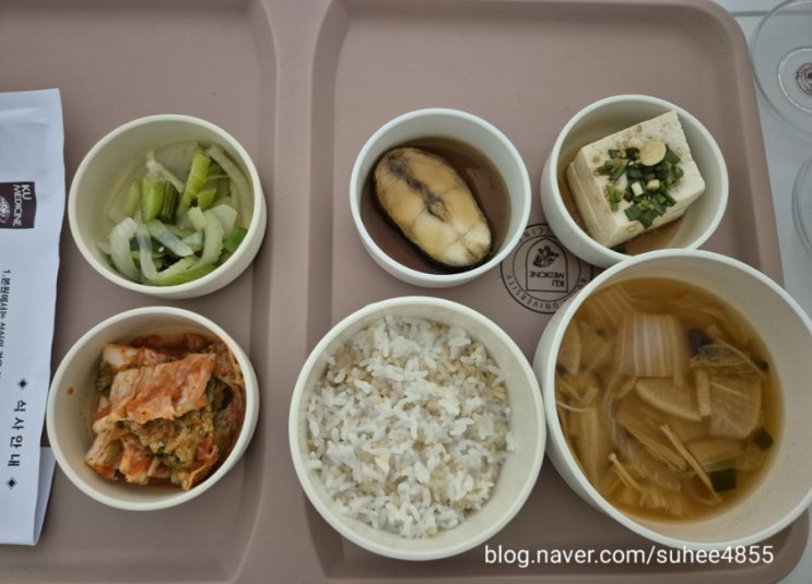  [쌍둥이임신] 안산고대병원 퇴원하다(2)