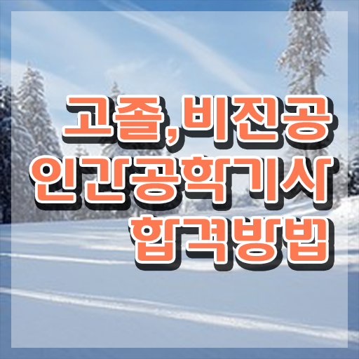  인간공학기사 필기 인간공학기사 자격요건 온라인 과정으로 간단하게 성공한 과정