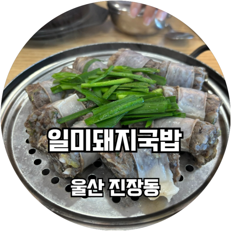  순대가 맛있는 진장동 국밥 맛집 일미돼지국밥