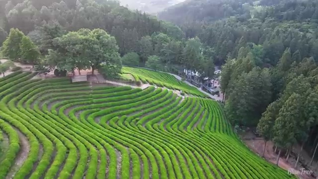  울산 한국사회복지교육 ? 사회복지사2급 대학진학없이 학은제 활용하여 쉽고 빠르게