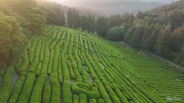  건축기사 실기 벼락치기 건축기사 시험응시조건 온라인 수업으로 1학기 만에 준비한 팁