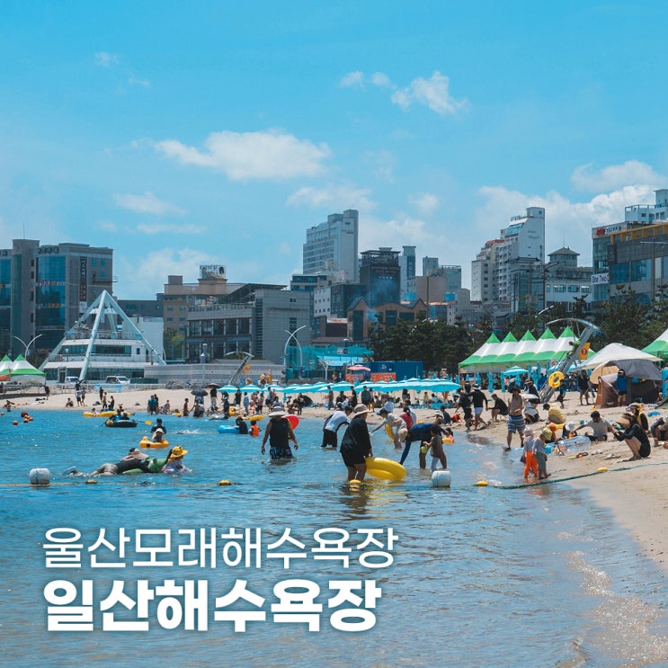  울산 모래해수욕장 일산해수욕장 개장