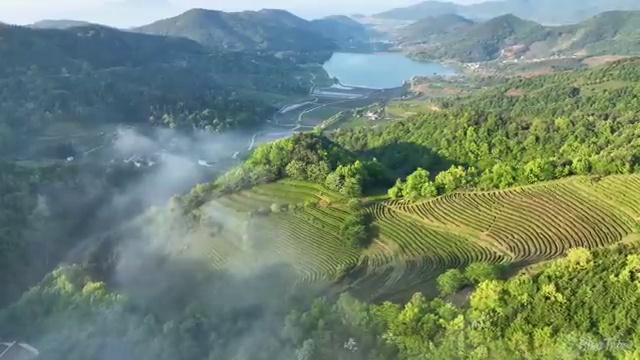  부산 사회복지2급학점은행제 , 사회복지사2급 관련학위 없어도 학은제 활용하여 간편하게