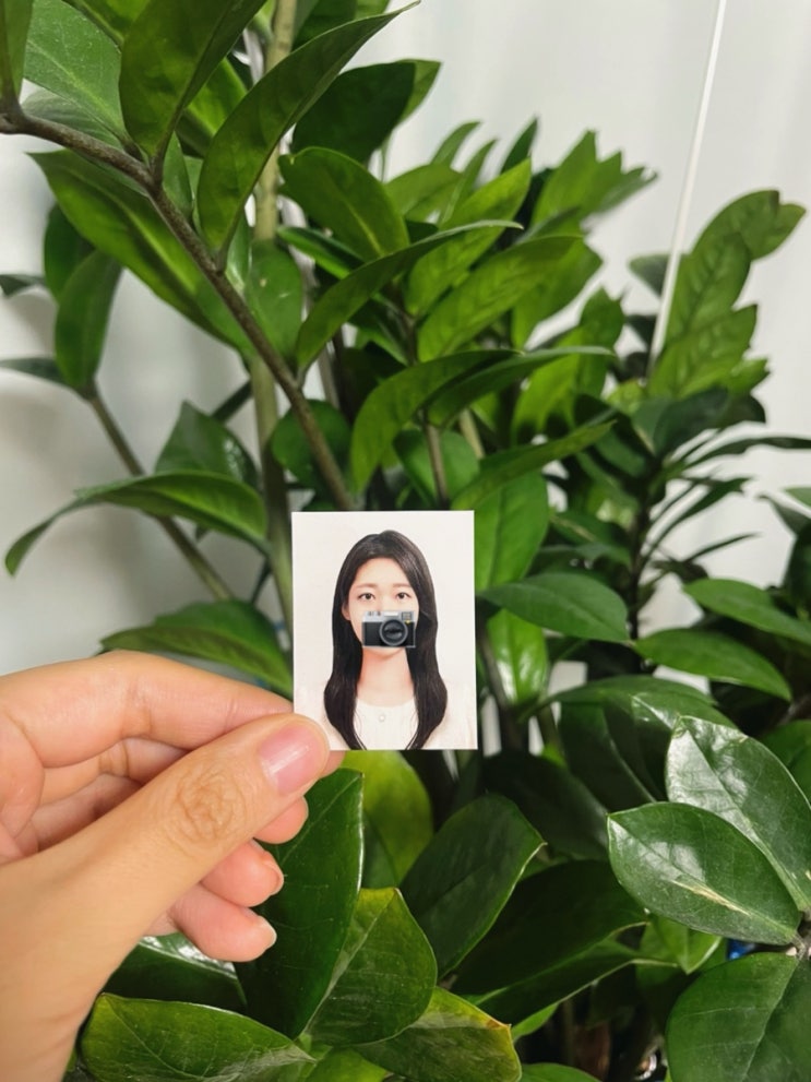  서현역 여권사진, 증명사진 잘찍는 어반사진관 촬영 후기:)