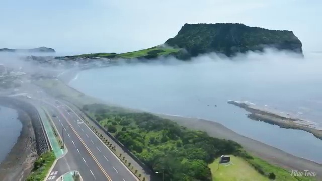  학교안전 , 학교안전지도사 자격증 온라인 교육으로 합격한 비법 총 정리