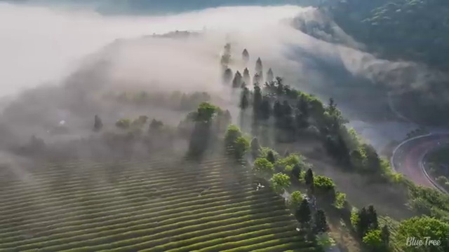  부천 사회복지사호봉 . 사회복지사2급 고졸자도 온라인 과정으로 수월하게