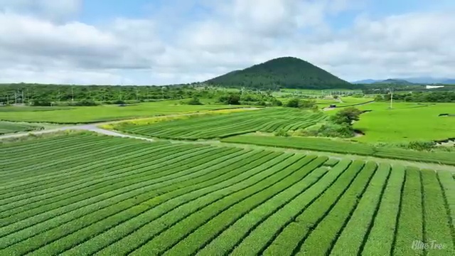  건설기계설비기사 필기합격률 건설기계설비기사 취득자격 온라인 과정으로 1학기에 준비한 비법