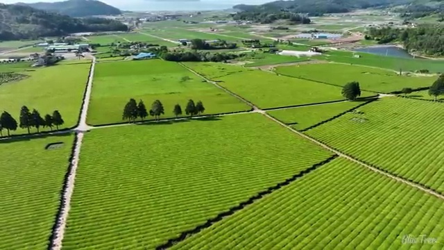  학점은행제학사 전공 , 학점은행제 전공 비전공자도 간편하게 준비하는 전략