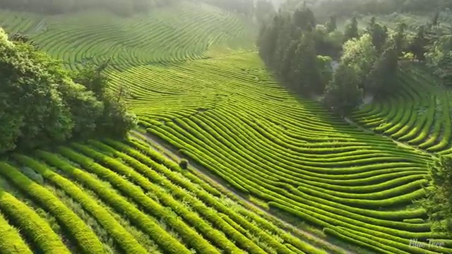  사회복지사급여 ? 사회복지사 중년 직장인도 인강 듣고 손쉽게