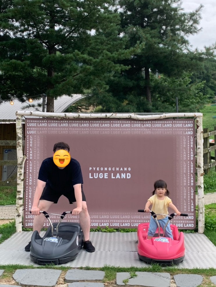  [평창 23년 리뉴얼 신상 리조트/휘닉스파크] 1탄. 스카이 스탠다드 패밀리룸/루지/키즈라운지 후기 *모바일 체크인 꿀팁까지!