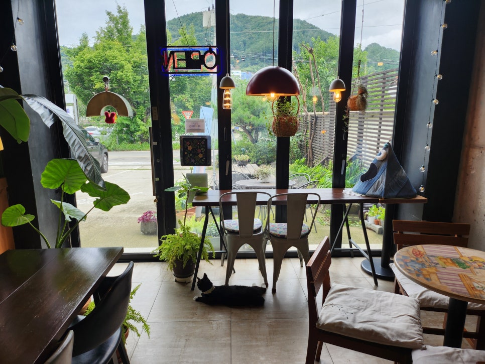 파울리 사진 6