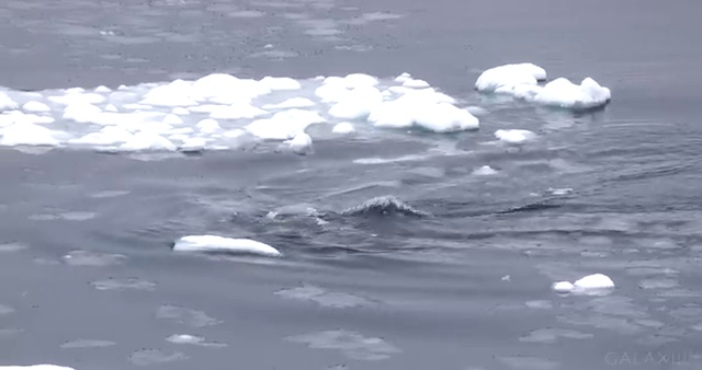  전기산업기사 자격 요건 전기산업기사 응시자격 학점은행제로 1학기에 준비한 방법