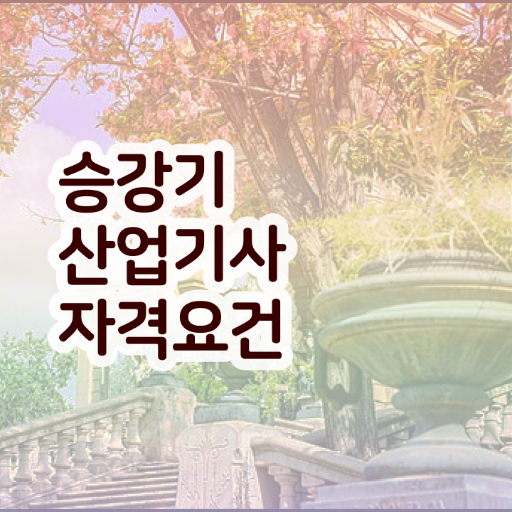  승강기산업기사실기 승강기산업기사 응시조건 독학으로 4달만에 성공한 과정