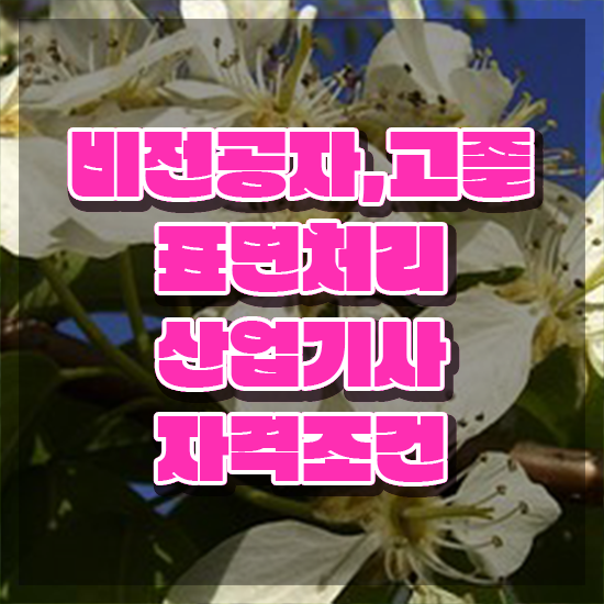  표면처리산업기사 필기시험일정 표면처리산업기사 시험자격 온라인 과정으로 15주만에 완료한 과정