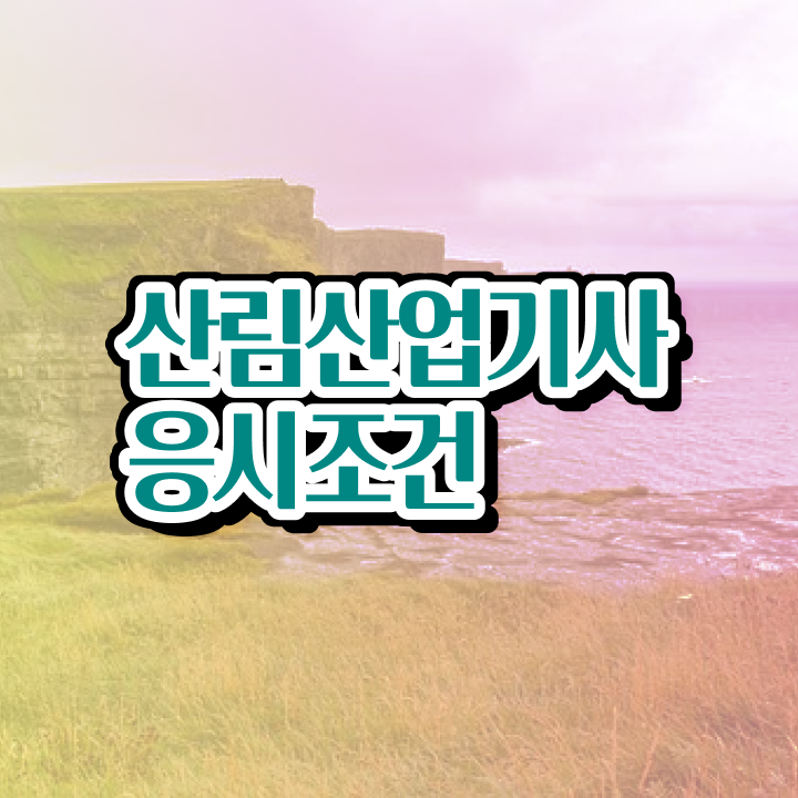  산림산업기사 시험일정 산림산업기사 시험응시조건 온라인 과정으로 15주 동안 끝낸 방법