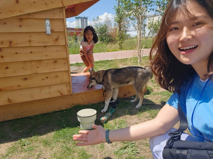  몽골 해외봉사 |숭실대학교 해외 봉사단 mongsilmongsil in MIU