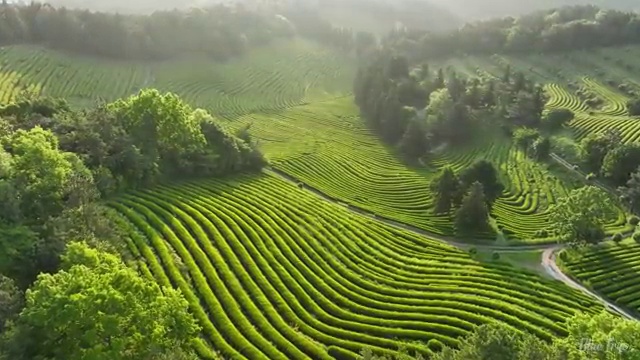  반영구 제모 , 반영구화장 창업 시작할 때 챙겨야 하는 자격사항 학은제 동영상만 듣고 미용면허증 쉽고 빠르게