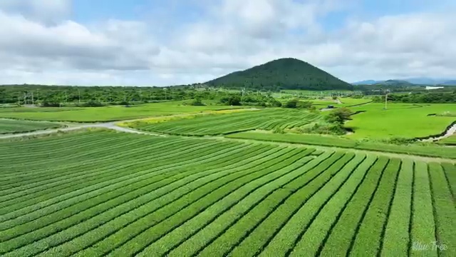  임산가공기사 시험자격 독학으로 빠르게 끝낸 과정