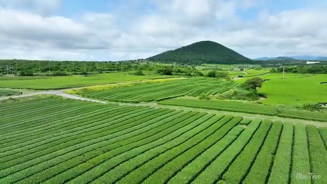  건설재료시험산업기사 취득자격 독학으로 간단하게 준비한 후기