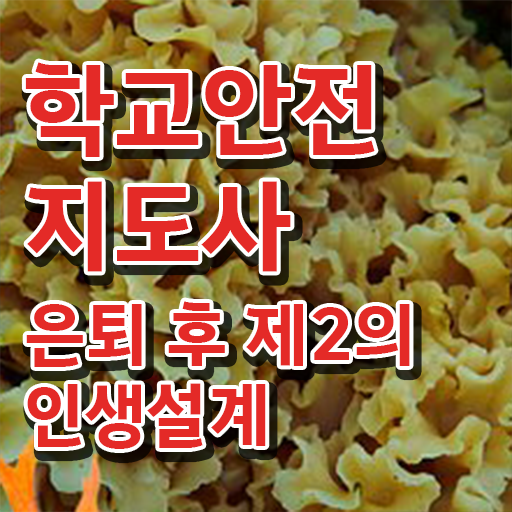  학교안전지도사시험 , 학교안전지도사 자격증 한달 만에 학습한 후기 , 활용 방법