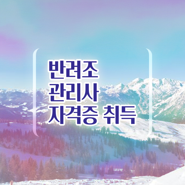  대형 앵무새 종류 , 반려조관리사 자격증 시험준비 확인하기