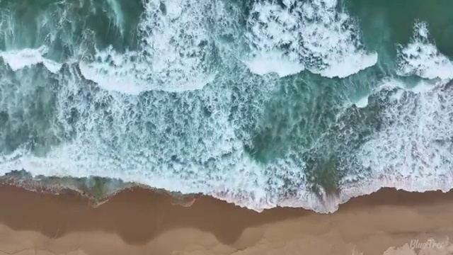  수산물품질관리사 자격증 , 간단하게 준비한 후기