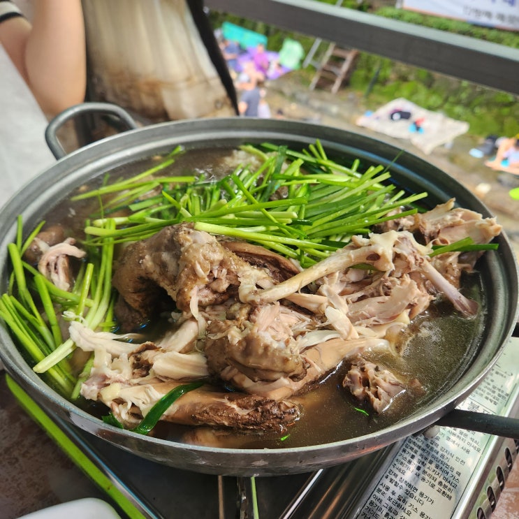  대전 근교 공주 계룡산 동학사 계곡 무료 물놀이 가능한 '계룡산식당'