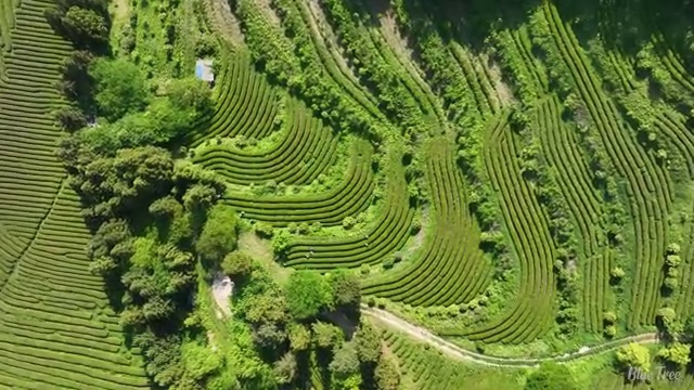  전주 사회복지사2급 중년 직장인도 온라인 수업으로 간편하게