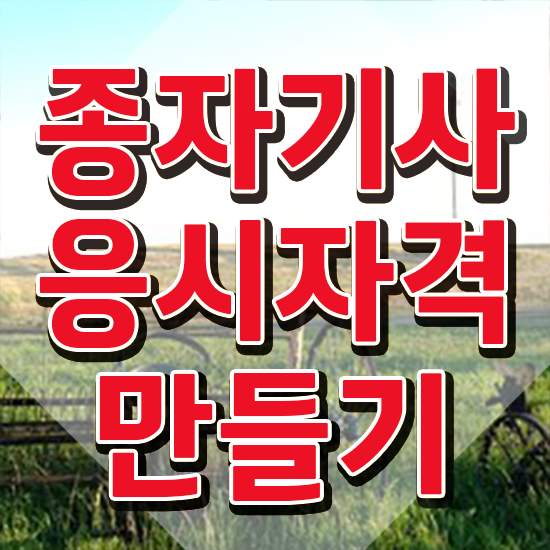  종자기사 전망 종자기사 취득자격 온라인 수업으로 4개월 만에 성공한 팁