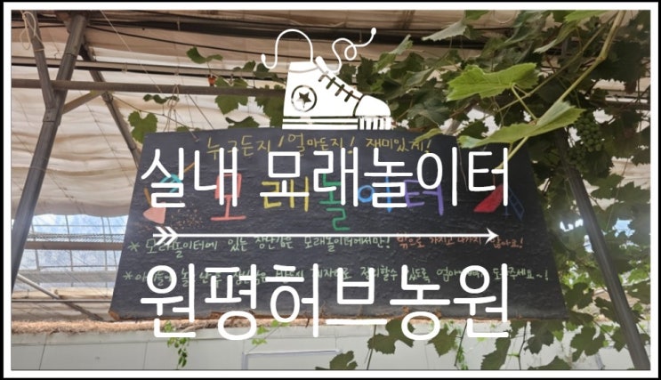  비오는 날에도 가기 좋은 서울 근교 아이와 가볼만한곳 실내 원평허브농원