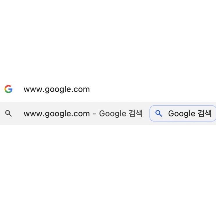  [네트워크] www.google.com을 주소창에 치면 어떻게 될까?