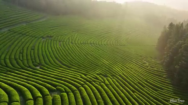 산업안전산업기사 전공 산업안전산업기사 응시조건 집에서 온라인으로 1학기에 성공한 노하우