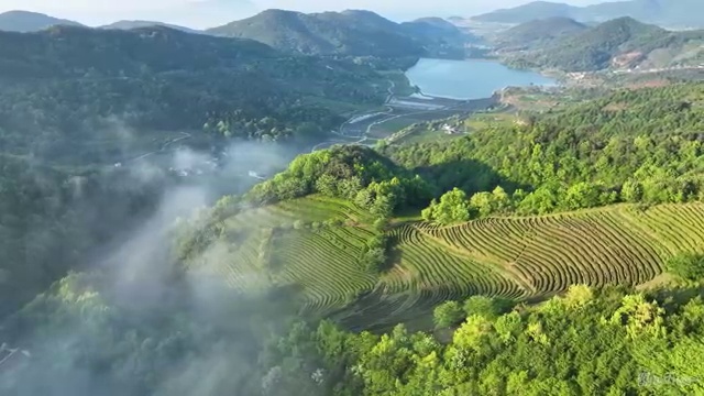  바리스타 자격증 필기 , 바리스타 자격증 쉽고 빠르게 취득한 방법 정보 가득