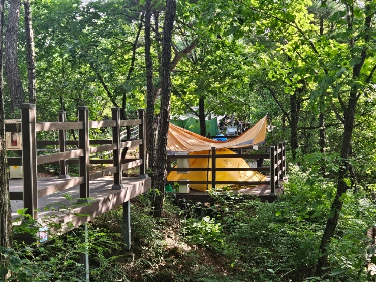  경기도 수영장 캠핑장 영인산자연휴양림 야영장 추천