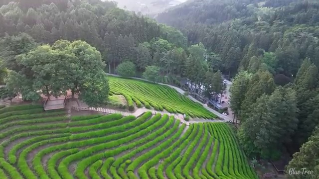  학점은행제 산업기사 중년 직장인도 최단기간 준비하는 노하우