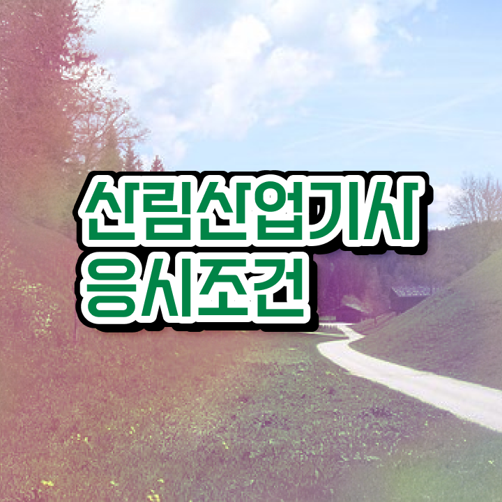  산림산업기사 작업형 산림산업기사 응시자격 학점은행제로 4달만에 끝낸 방법