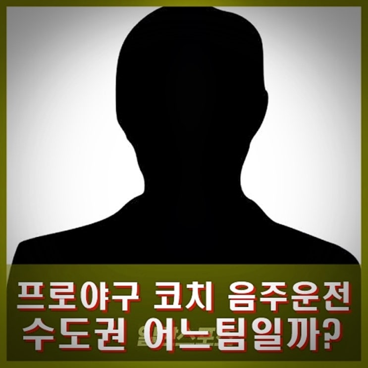 수도권 프로<b>야구 코치</b> 음주측정 거부 혐의 체포. 결국 인정... 