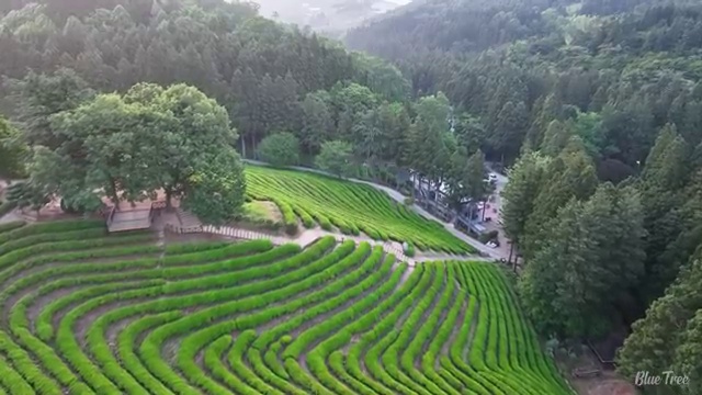  학점은행제 보육교사2급자격증 , 보육교사 인강만 듣고 완료한 팁