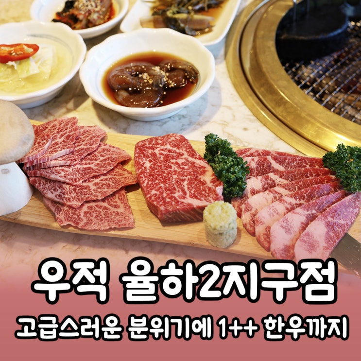  김해 율하 한우맛집 <우적> 투뿔 한우에 분위기까지 좋은 고깃집