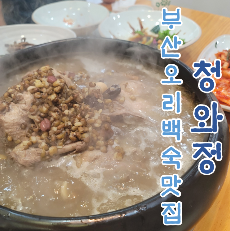  [부산 백숙 맛집] 三代를 이어온 한식 대가의 백숙 명가 청와정