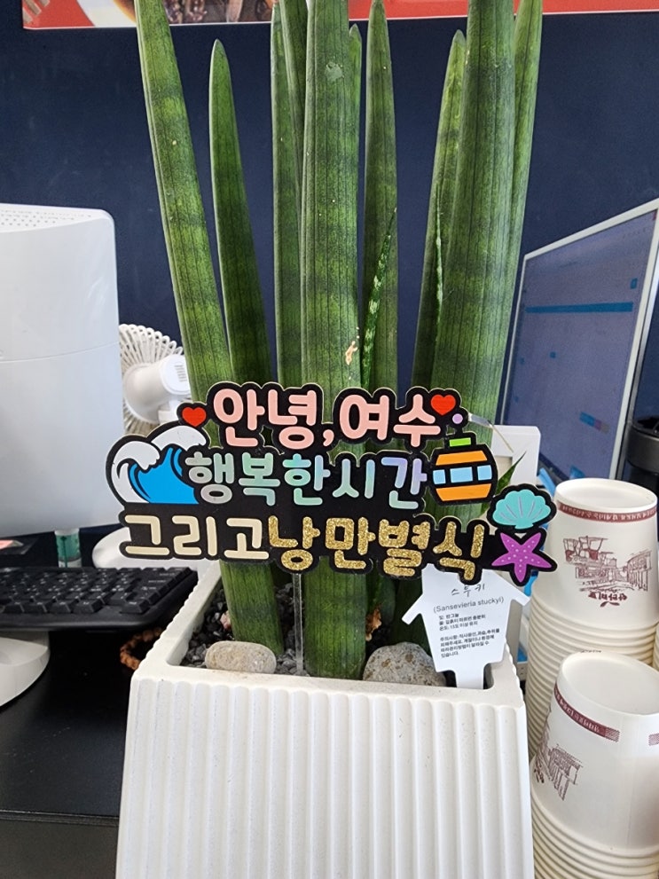  여수 여행 여수게장 낭만별식 내돈내산 후기