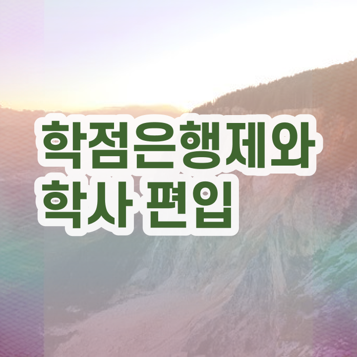  학점은행제 자격증 , 학점은행제 학습플래너 이 부분만 무조건 확인하세요