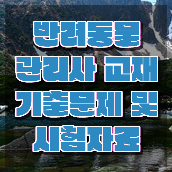  부산 강아지 훈련사 , 반려동물관리사 자격증 온라인으로 쉽게 합격한 전략 및 채용 정보