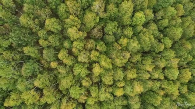  전주 전문대사회복지학과대학 ? 사회복지사2급 직장인도 온라인 과정으로 간편하게