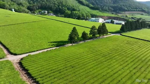  포항 사회복지사2급 자격 사회복지사2급 관련학과 아니어도 학은제 활용하여 수월하게