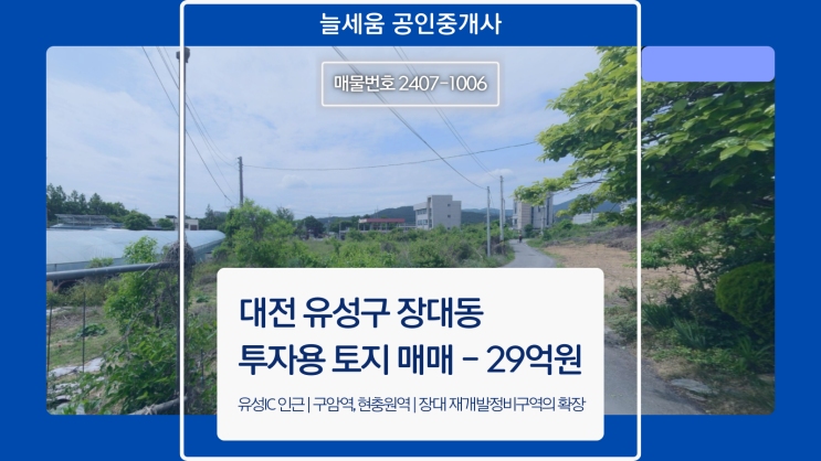  대전 유성구 장대동 자연녹지 투자용 토지 매매 - 개발 가능성 높은 투자 기회!
