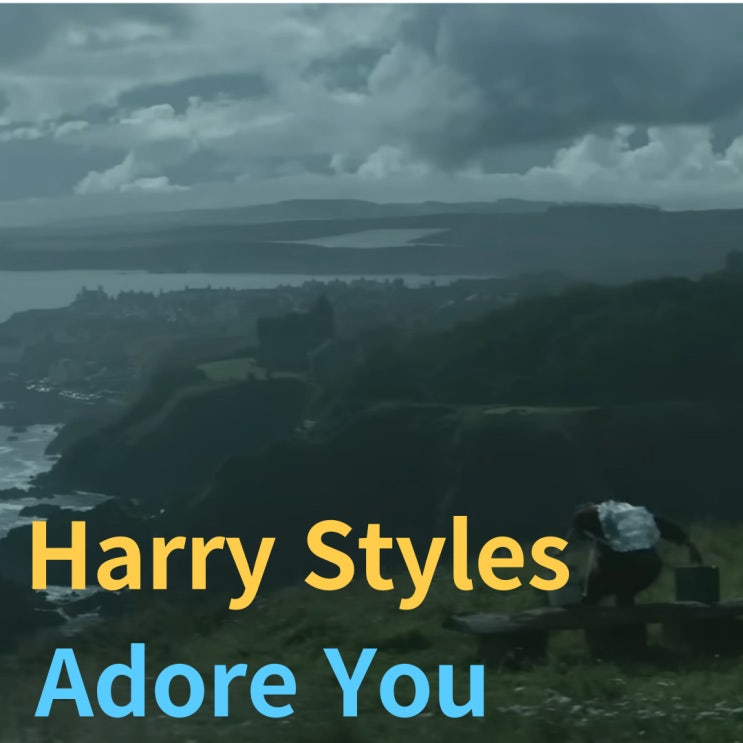  Harry Styles : Adore You [가사/해석]